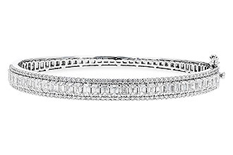 E319-83163: BANGLE 4.19 E.C. 5.30 TW