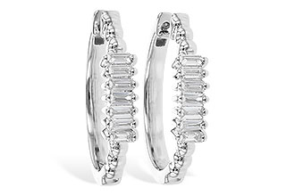 F318-95890: EARR .20 TW BAGUETTES